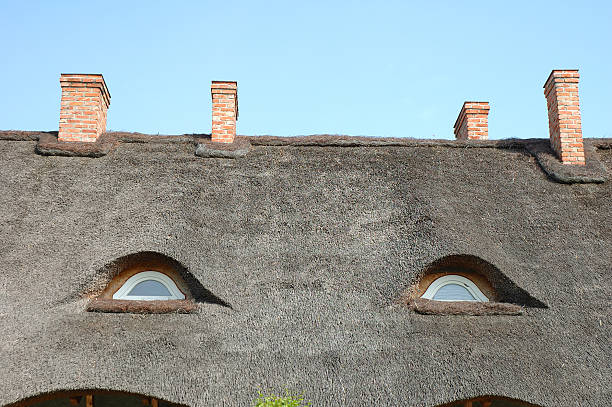 istock Straw roof and chimneys 495630515