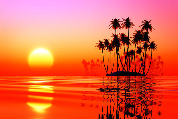 istock coconut islands at pink sunset 495630763