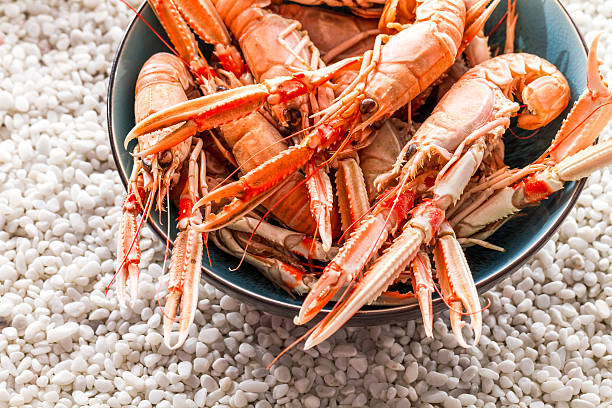 istock Seafood served on the beach 495631243