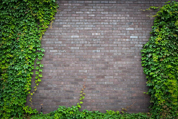 istock Close up of a brick-wall red adobe, stone texture background 495631963
