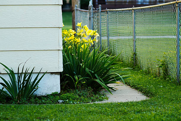 simple l'arrière-cour - green fence chainlink fence wall photos et images de collection
