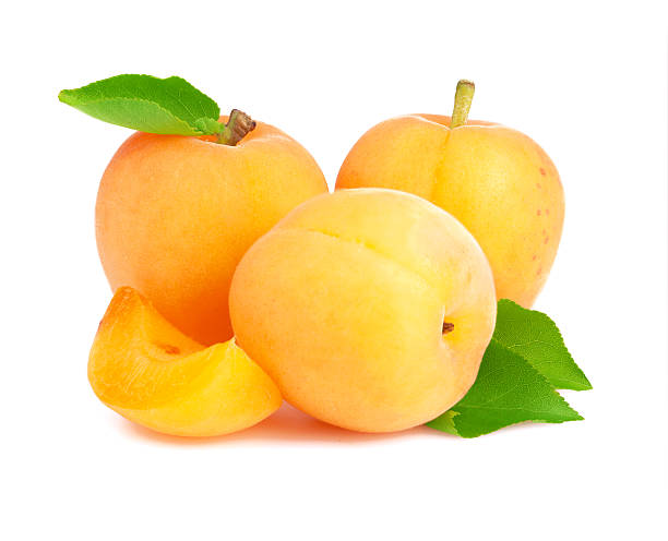 istock Ripe apricot with leaves 495632019