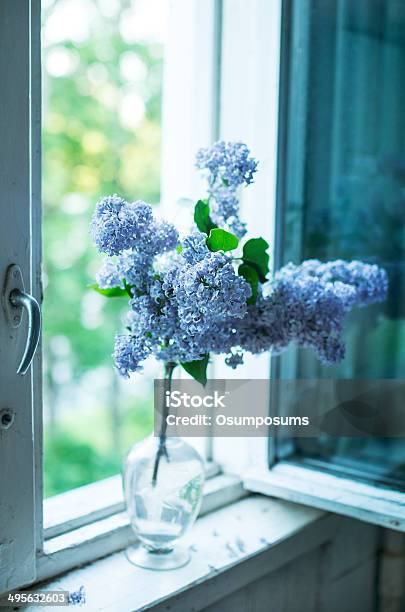Blue Purple Lilac Flowers In Black Vase On Window Sill Stock Photo - Download Image Now