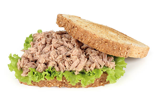 sanduíche de atum - tuna salad sandwich - fotografias e filmes do acervo