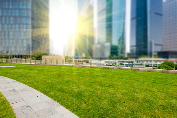 istock city park with modern building background in shanghai 495634696