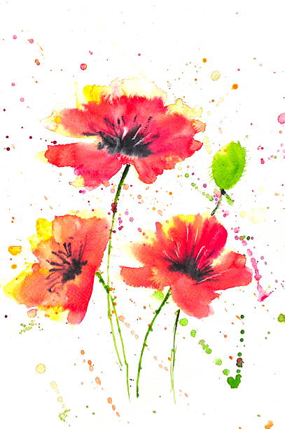 istock Red poppy flowers, watercolor painting 495636150