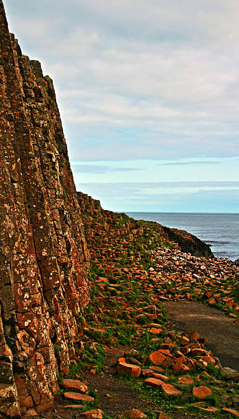 giant's causeway basalto hexagonal columnas junto a los gigantes de puerta - national trust northern ireland uk rock fotografías e imágenes de stock