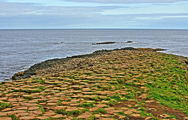 giant's causeway basalto hexagonal columnas que conducen hasta el mar - national trust northern ireland uk rock fotografías e imágenes de stock