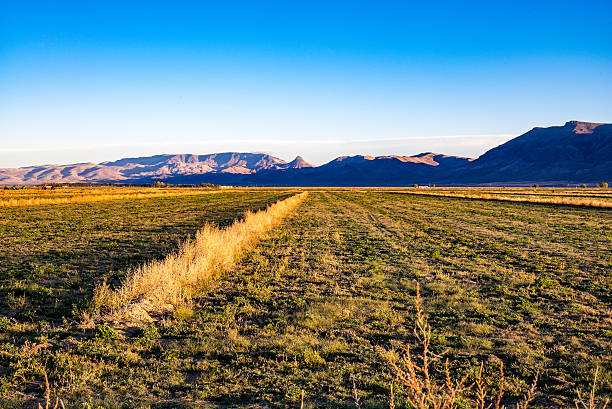 istock Farmland with windrows,mountains,equipment and wide angle fields. 495640730