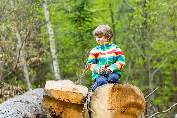 istock Little blond kid boy playing in forest on cold day 495644612