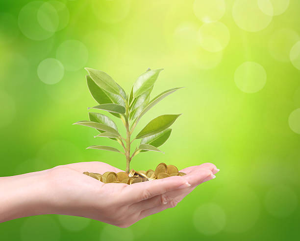 istock money growing from plant coins 495645856