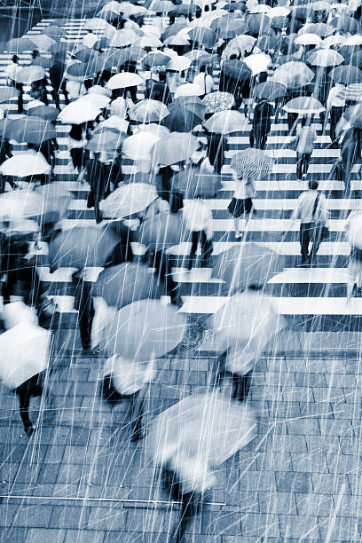 chuvoso trabalhadores na faixa de pedestres - umbrella parasol rain rush hour - fotografias e filmes do acervo