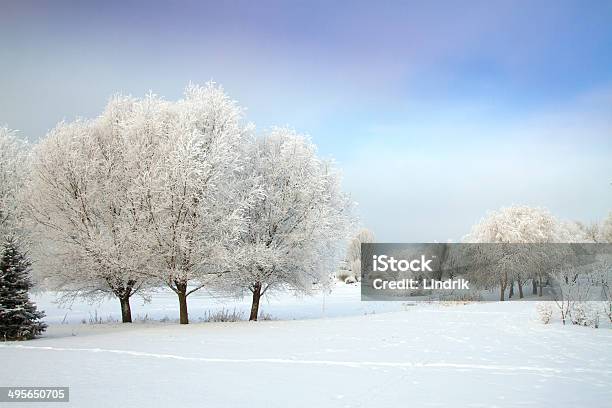 Winters Tale - zdjęcia stockowe i więcej obrazów Bez ludzi - Bez ludzi, Burza śnieżna, Deszcz ze śniegiem