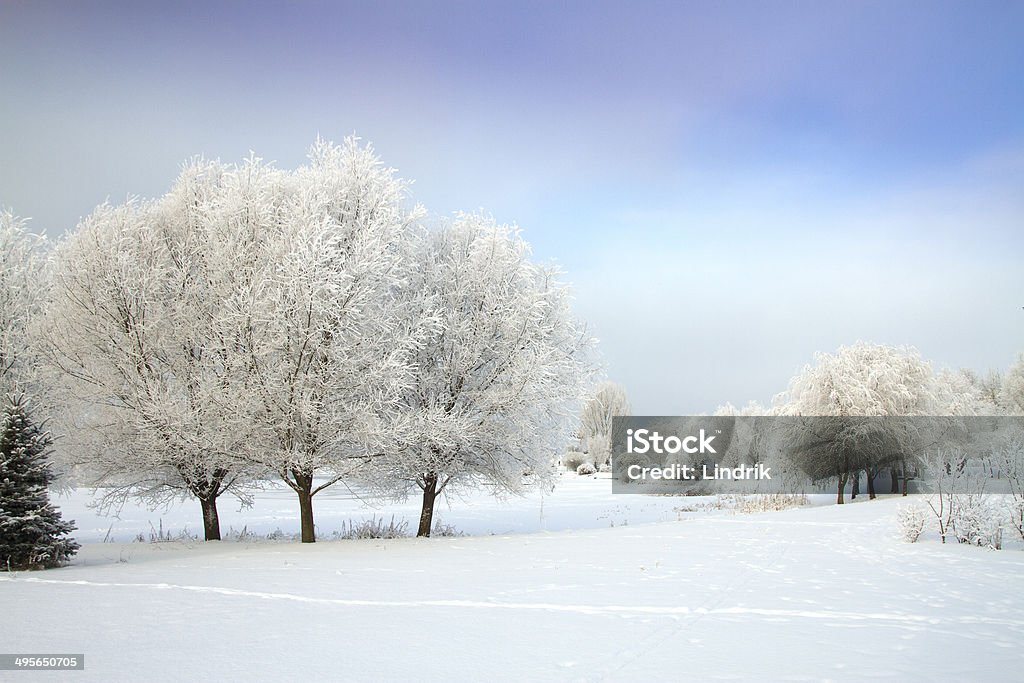 Winter's Tale - Foto de stock de Azul royalty-free