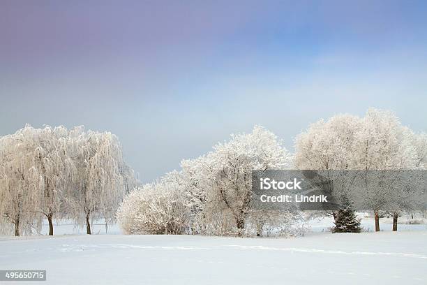 Il Racconto Dinverno - Fotografie stock e altre immagini di Albero - Albero, Autostrada, Blu