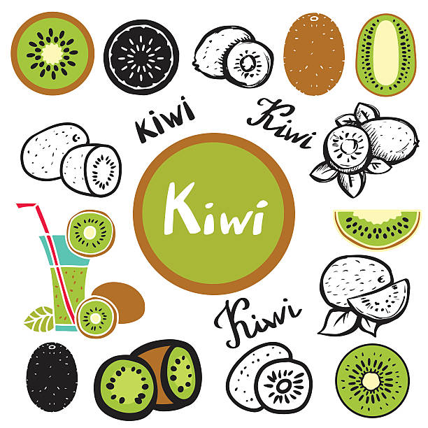 owoce kiwi, leafs, sok - tree single word green fruit stock illustrations