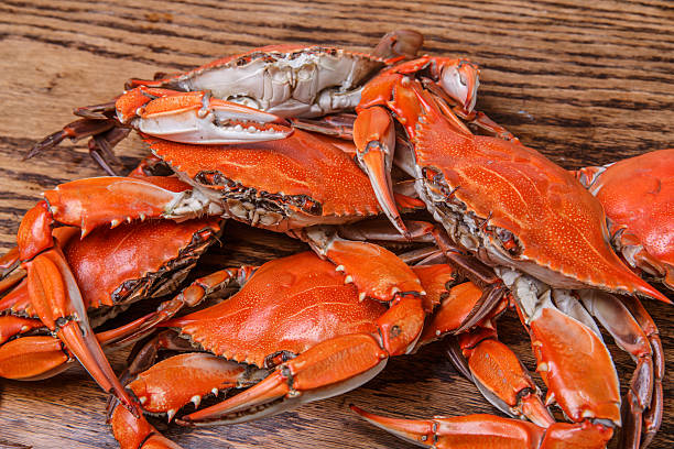 istock Steamed Blue Crabs on a wooden table 495653229