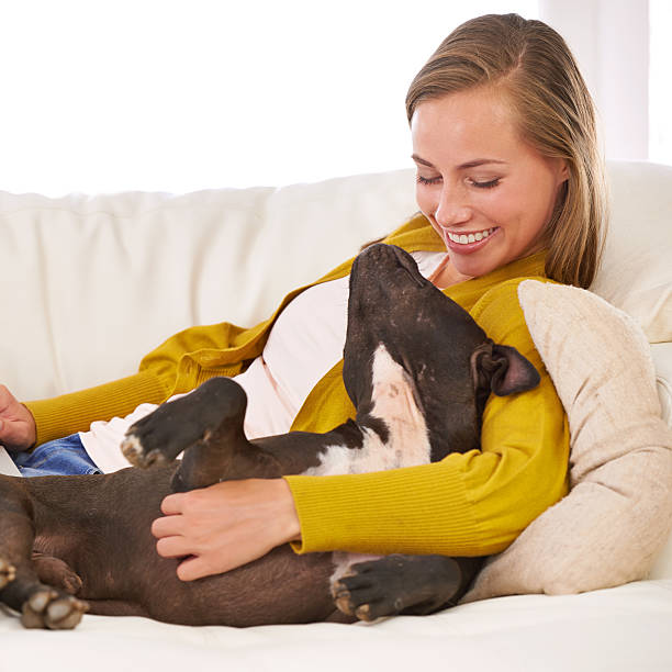 istock He's the most loyal friend anyone could hope for 495653877