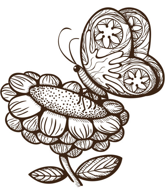 ilustraciones, imágenes clip art, dibujos animados e iconos de stock de mariposa flor de primavera con la naturaleza. - butterfly flower single flower grass