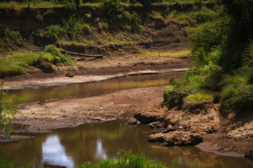 African Savannah. Mara River, Kenya, Masai Mara.