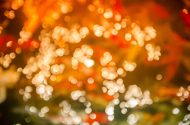 istock Bokeh of fancy koi fish pond. 495656479