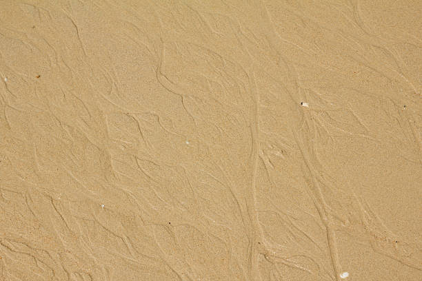 sand beach background stock photo