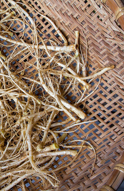 coriander root Thai food ingredient stock photo