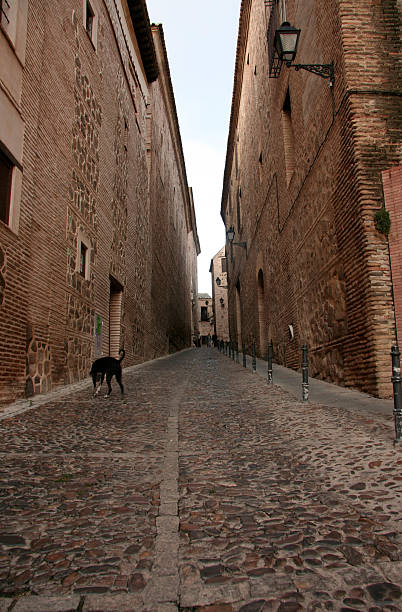 istock Toledo narrow street 495660666