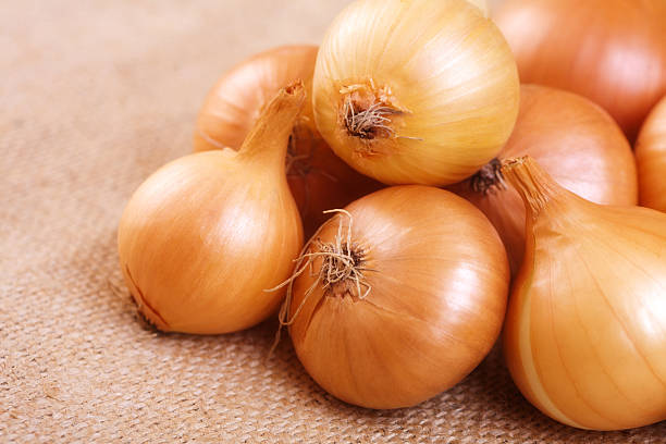 istock Group of onions on the table 495663154