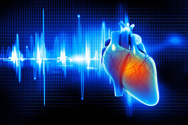 Digital illustration of Human heart stock photo