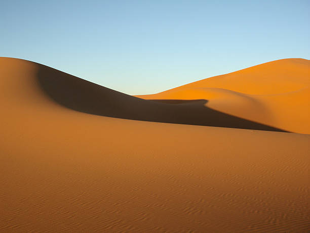 istock Sand dunes in the desert 495665202