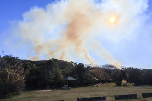 Fire-break blots out the sun in the Royal Natal National Park