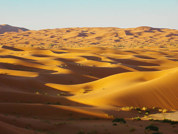 istock Sand dunes in the desert 495665590
