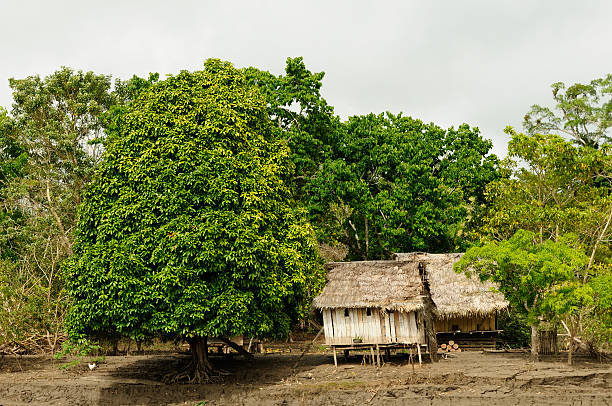 istock Amazon indian tribes in Brazil 495665781