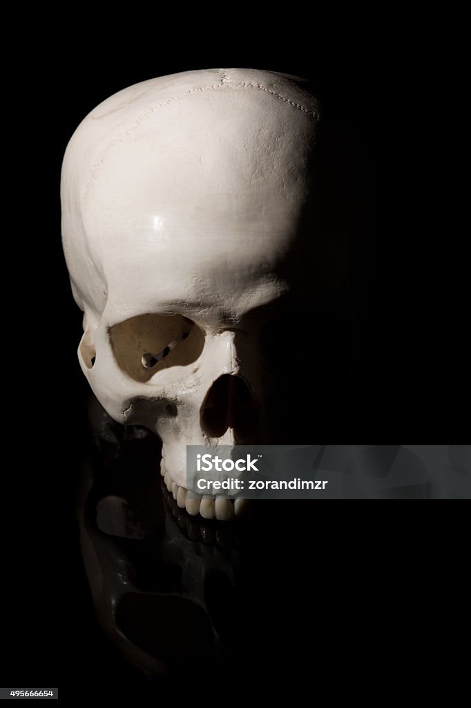 Human skull on black background 2015 Stock Photo