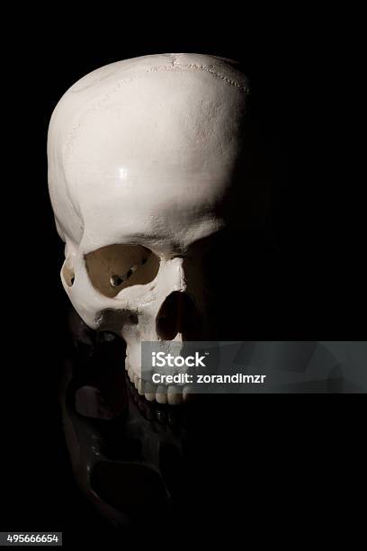 Human Skull On Black Background Stock Photo - Download Image Now - 2015, Anatomy, Black Background