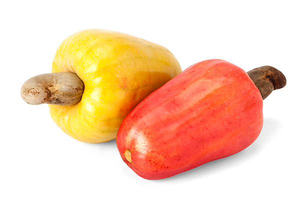 Fresh ripe Brazilian Caju Cashew fruit with path