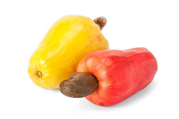 istock Brazilian Caju Cashew Fruit 495666897