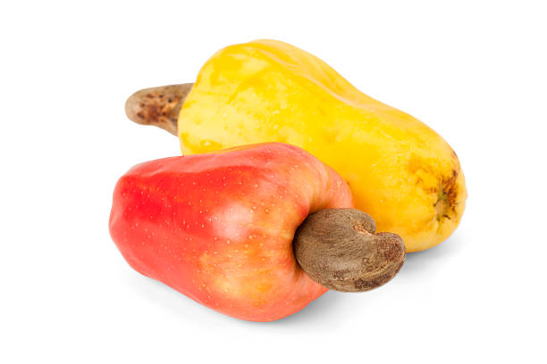 istock Brazilian Caju Cashew Fruit 495666901