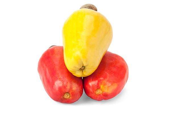 istock Brazilian Caju Cashew Fruit 495666919