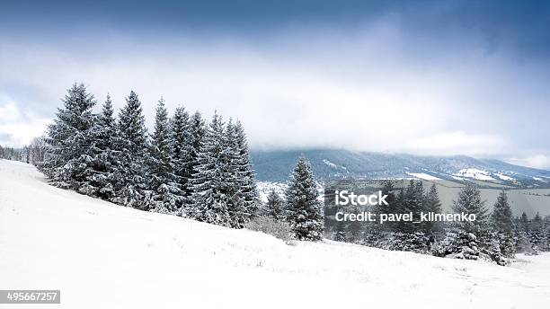 Winter Scene In Mountains Stock Photo - Download Image Now - Blue, Carpathian Mountain Range, Europe