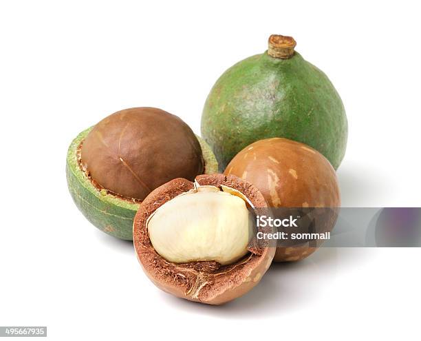 Macadamia Nuts On White Background Stock Photo - Download Image Now - Antioxidant, Brown, Close-up