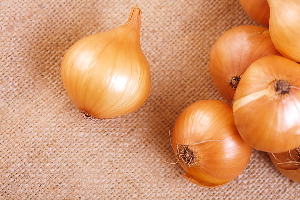 istock Group of onions on the table 495668042