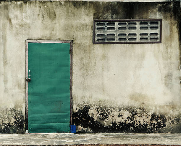 istock old house with green door 495668329