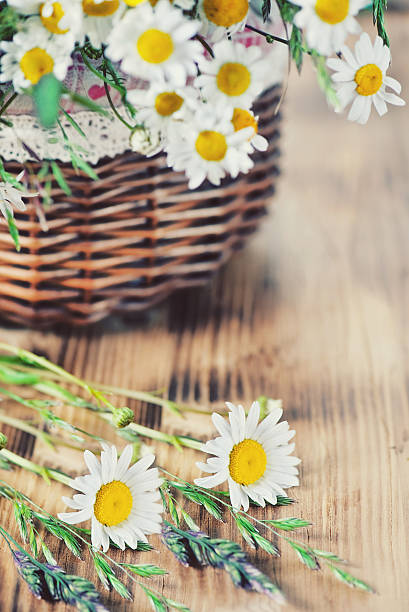 istock Herbs and camomile in the basket 495670311