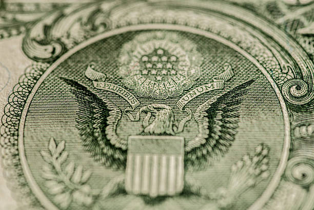 istock Fragment of American dollar 495670379