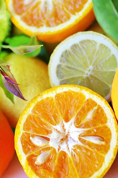 배경 레몬색 및 오렌지 조각 - lemon textured peel portion 뉴스 사진 이미지