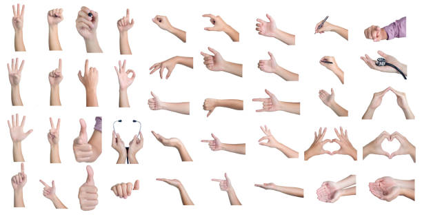 istock set hand showing different signs 41 action isolated 495674346