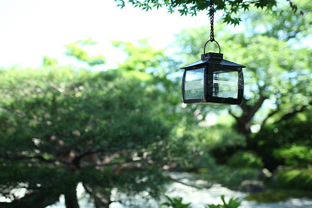It is the photograph taken in the Japanese garden.
