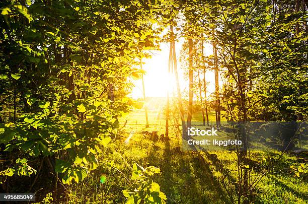 Summer Поле — стоковые фотографии и другие картинки Ostergotland - Ostergotland, Без людей, Вечерние сумерки